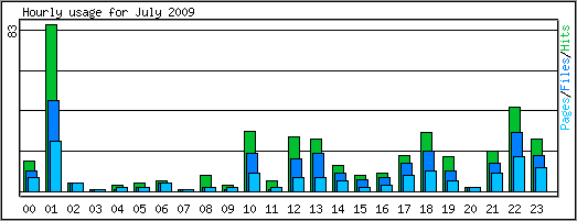 Hourly usage